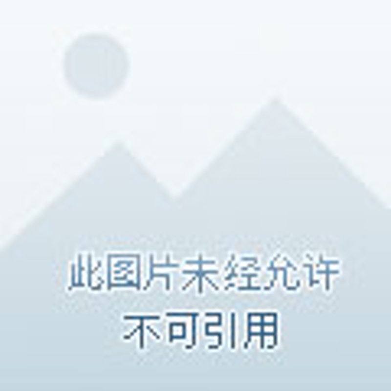 特价机票查询——让旅行更便捷
